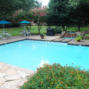 Stone deck at the Oakhaven pool with mature landscaping and lounge furniture in the background