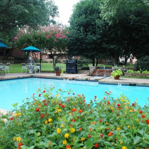 Pool area at Oakhaven with lush landscaping
