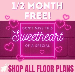 1/2 month free